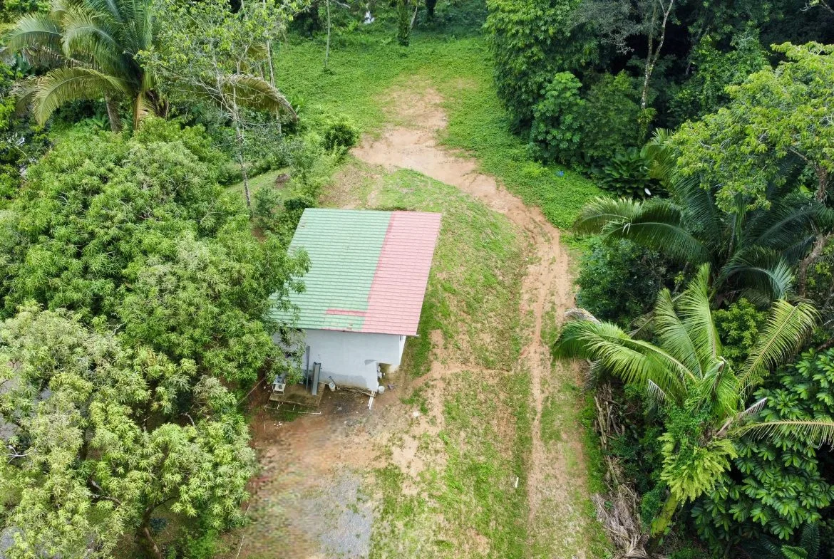 PROPERTY UNDER CONSTRUCTION WITH PROPERTY LAND VIEWS, IN PLAYA HERMOSA – 0.24 ACRES, photo 4