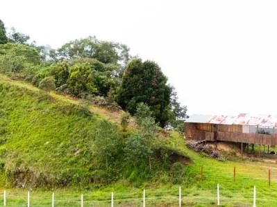 For Sale: Mountain Property with Cabin and Buildable Pads in Jardín de Páramo, Costa Rica, photo 5
