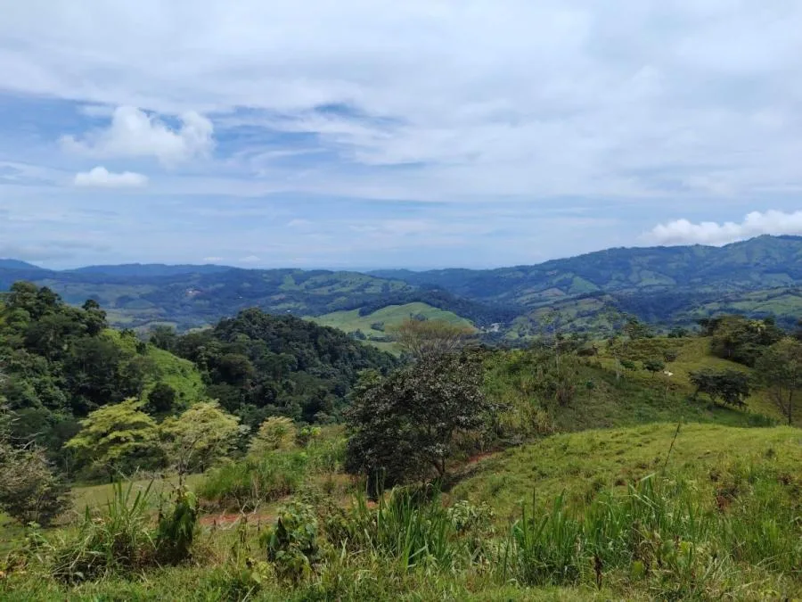 EN VENTA PROPIEDAD CON NACIENTES Y CASCADAS - Venta en Perez Zeledón, photo 6