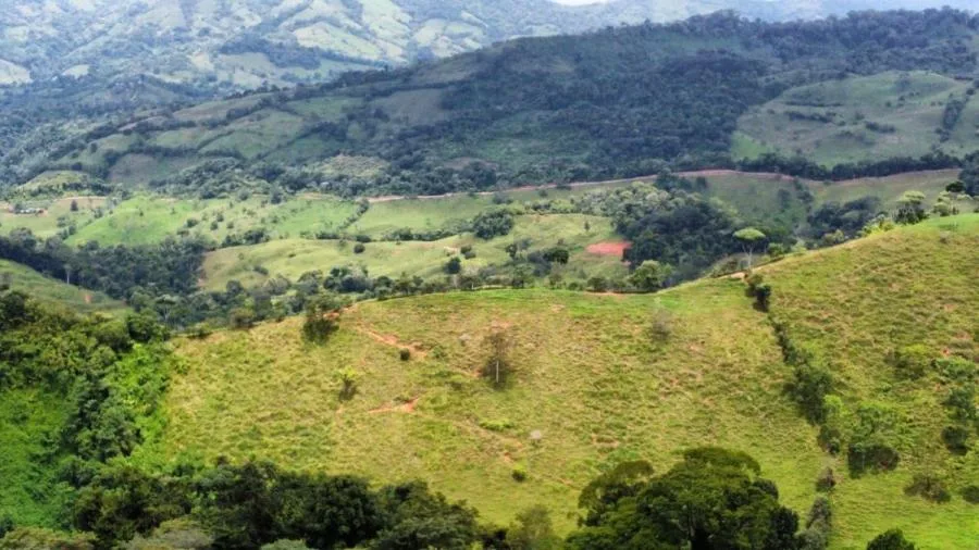 EN VENTA PROPIEDAD CON NACIENTES Y CASCADAS - Venta en Perez Zeledón, photo 8
