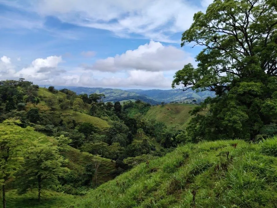 EN VENTA PROPIEDAD CON NACIENTES Y CASCADAS - Venta en Perez Zeledón, photo 9
