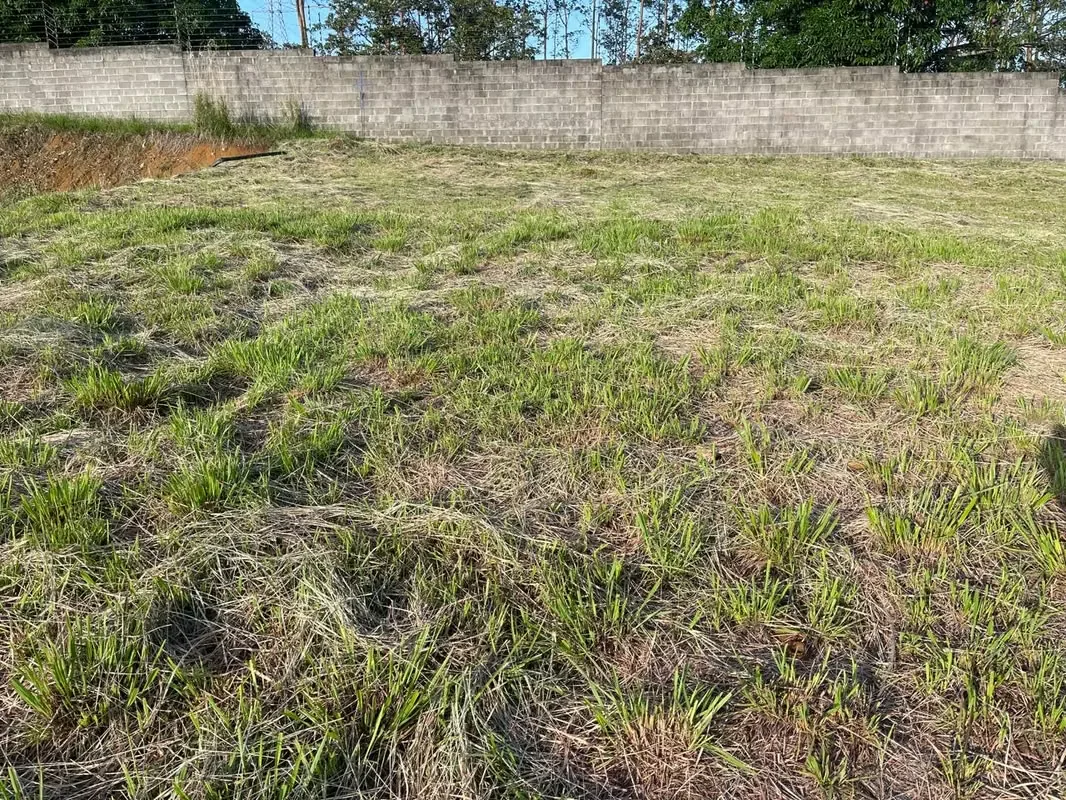 Vendo lindo lote en Condominio Espavel, photo 11