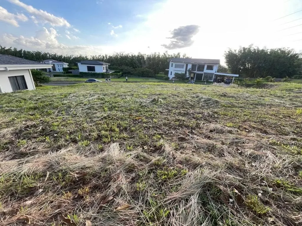 Vendo lindo lote en Condominio Espavel, photo 7