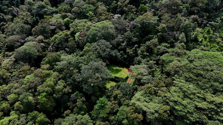 Tropical Paradise in Uvita: 939 sqm Property with Dual Building Sites, 5 Minutes from the Beach, photo 12