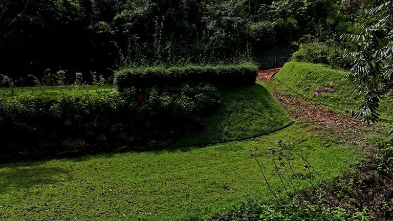 Tropical Paradise in Uvita: 939 sqm Property with Dual Building Sites, 5 Minutes from the Beach, photo 3