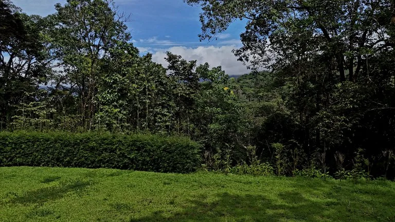 Tropical Paradise in Uvita: 939 sqm Property with Dual Building Sites, 5 Minutes from the Beach, photo 5