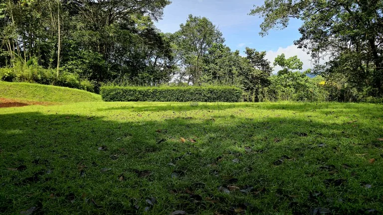 Tropical Paradise in Uvita: 939 sqm Property with Dual Building Sites, 5 Minutes from the Beach, photo 8