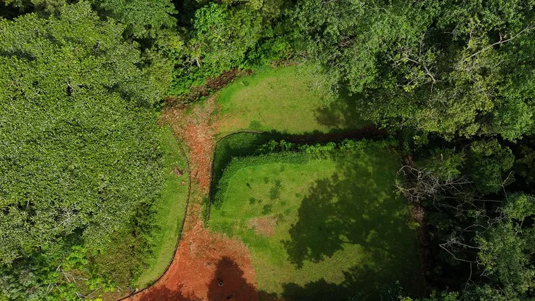 Tropical Paradise in Uvita: 939 sqm Property with Dual Building Sites, 5 Minutes from the Beach, photo 10