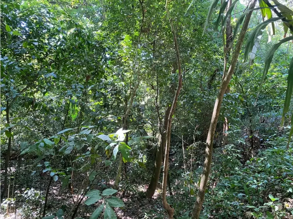 VENTA DE QUINTA CON RANCHO RÚSTICO, SAN JOSÉ, TURRUBARES, SAN FRANCISCO, SAN LUIS, photo 11