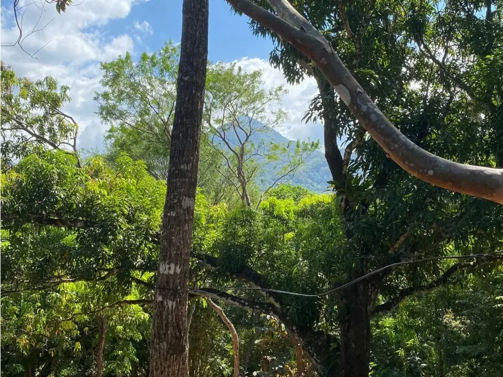 VENTA DE QUINTA CON RANCHO RÚSTICO, SAN JOSÉ, TURRUBARES, SAN FRANCISCO, SAN LUIS, photo 12