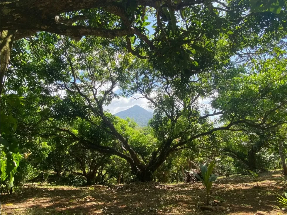 VENTA DE QUINTA CON RANCHO RÚSTICO, SAN JOSÉ, TURRUBARES, SAN FRANCISCO, SAN LUIS, photo 14