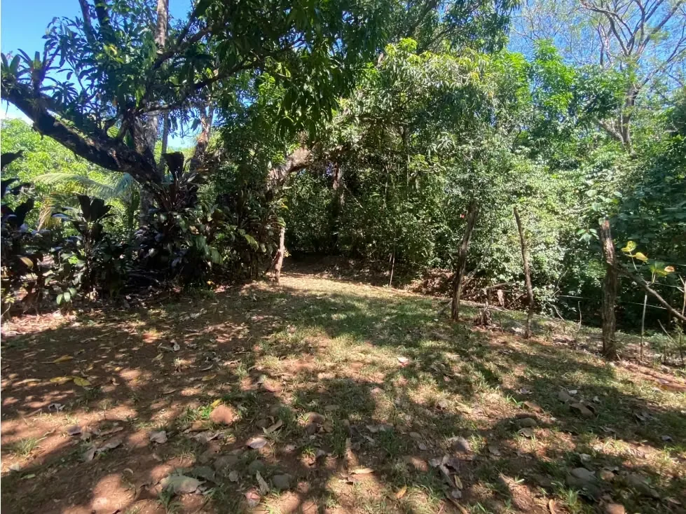 VENTA DE QUINTA CON RANCHO RÚSTICO, SAN JOSÉ, TURRUBARES, SAN FRANCISCO, SAN LUIS, photo 15