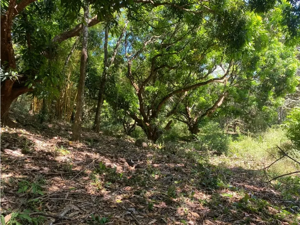 VENTA DE QUINTA CON RANCHO RÚSTICO, SAN JOSÉ, TURRUBARES, SAN FRANCISCO, SAN LUIS, photo 16