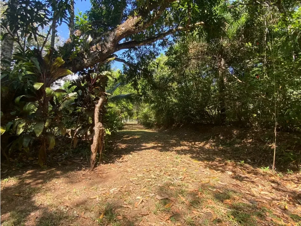 VENTA DE QUINTA CON RANCHO RÚSTICO, SAN JOSÉ, TURRUBARES, SAN FRANCISCO, SAN LUIS, photo 6