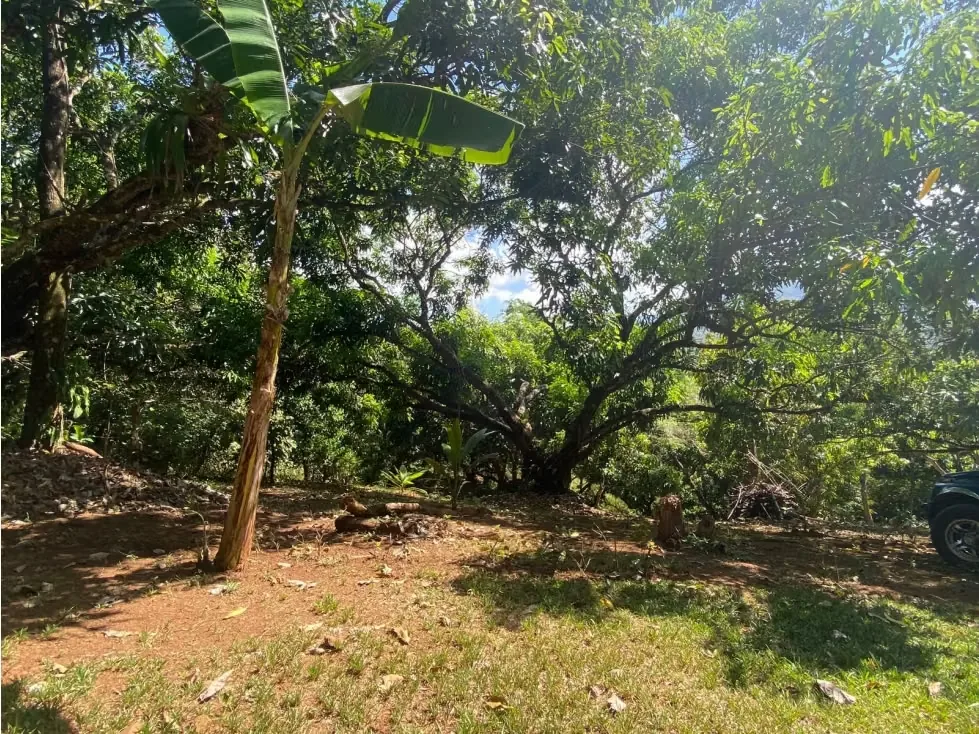 VENTA DE QUINTA CON RANCHO RÚSTICO, SAN JOSÉ, TURRUBARES, SAN FRANCISCO, SAN LUIS, photo 7