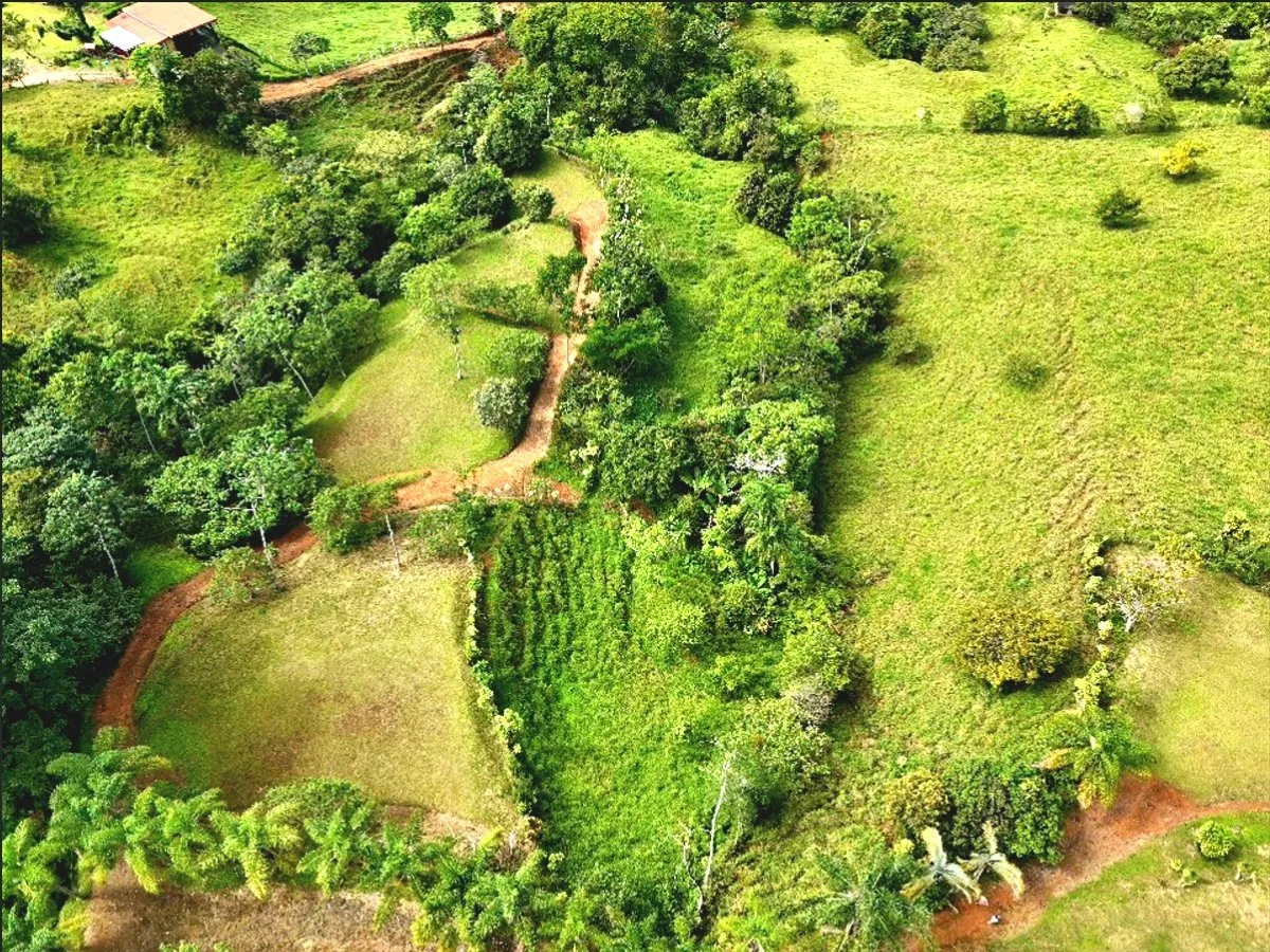 SE VENDE QUINTA CON ARROYO NATURAL Y VISTAS PANORAMICAS - Venta en Pérez Zeledón