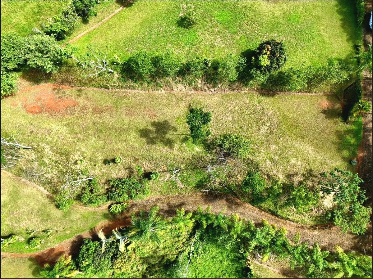 SE VENDE QUINTA CON ARROYO NATURAL Y VISTAS PANORAMICAS - Venta en Pérez Zeledón, photo 2