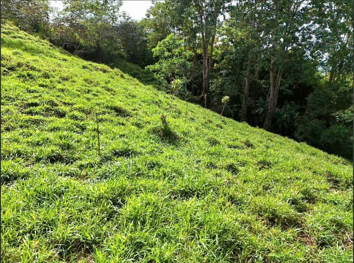 SE VENDE QUINTA CON ARROYO NATURAL Y VISTAS PANORAMICAS - Venta en Pérez Zeledón, photo 3