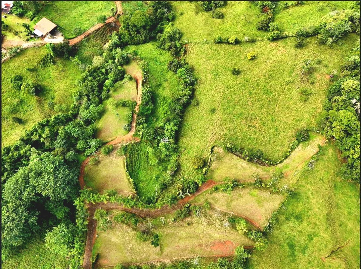 SE VENDE QUINTA CON ARROYO NATURAL Y VISTAS PANORAMICAS - Venta en Pérez Zeledón, photo 6