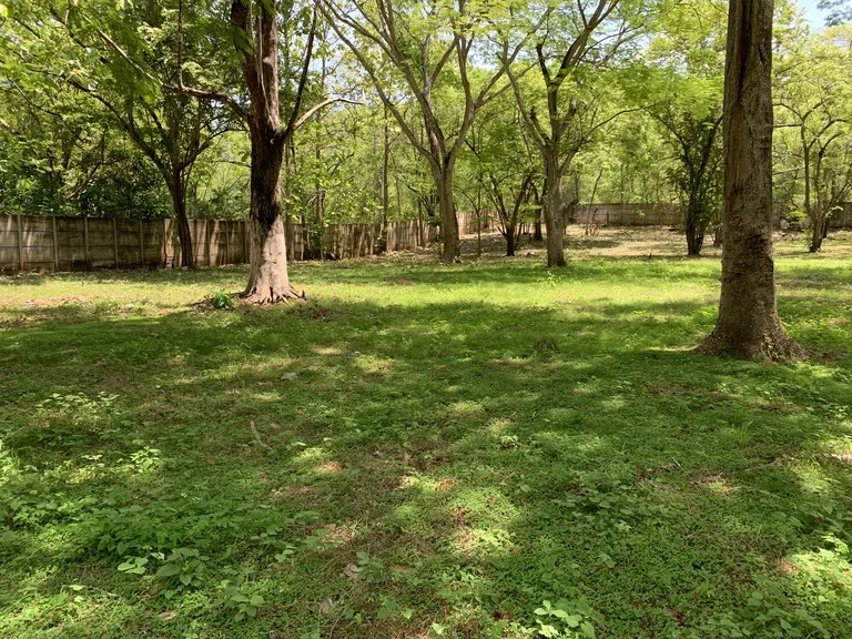 Development Parcel in Matapalo, photo 11