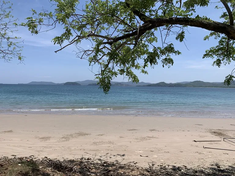 Development Parcel in Matapalo, photo 12