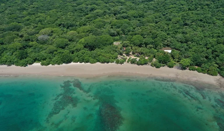 Development Parcel in Matapalo, photo 6