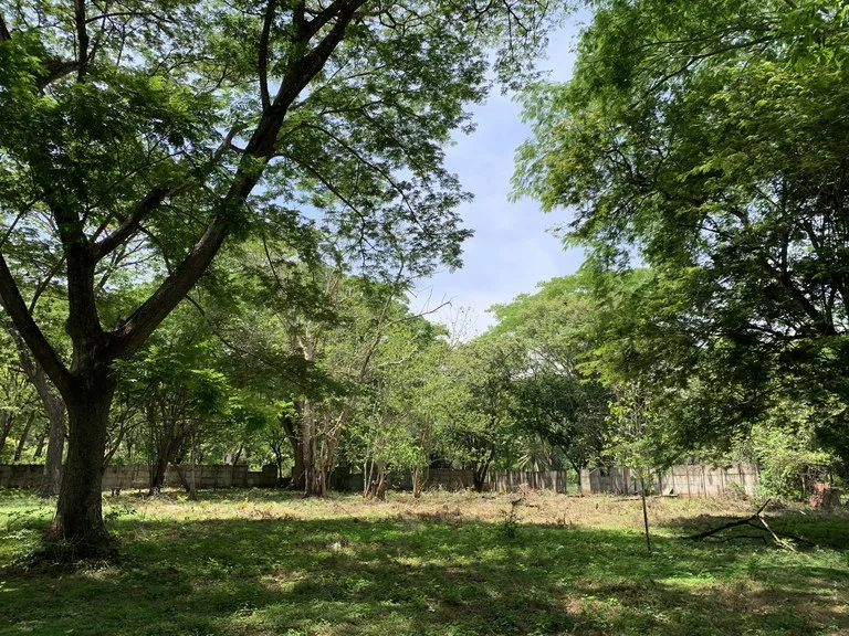 Development Parcel in Matapalo, photo 8