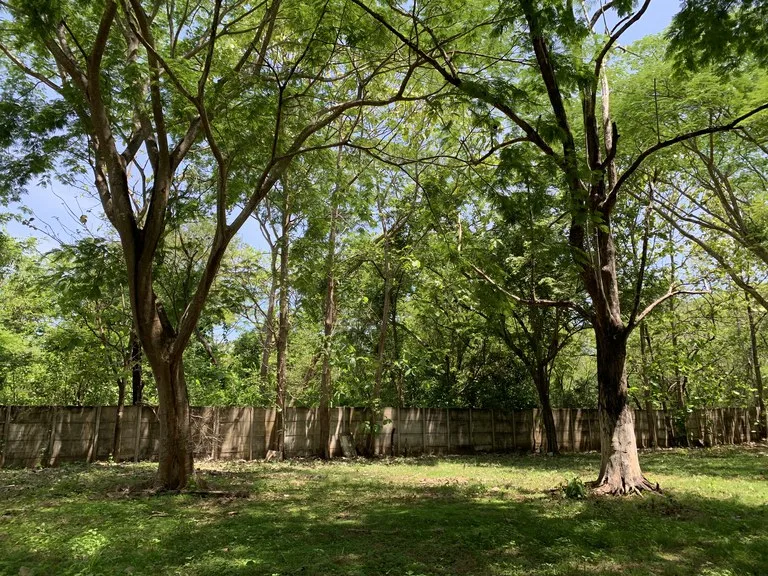 Development Parcel in Matapalo, photo 9