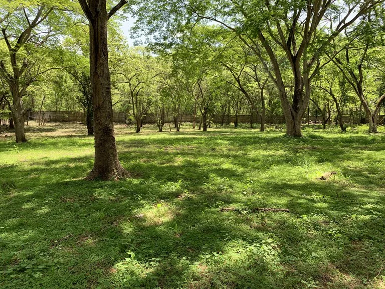 Development Parcel in Matapalo, photo 10