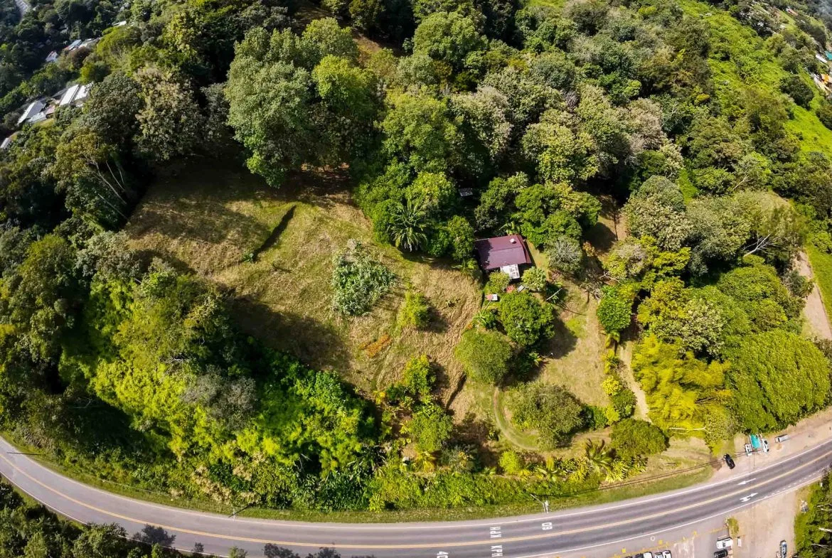 DEVELOPMENT LAND NEAR TO THE CITY AND THE BEACH, IN BAHIA BALLENA – 29 ACRES, photo 2
