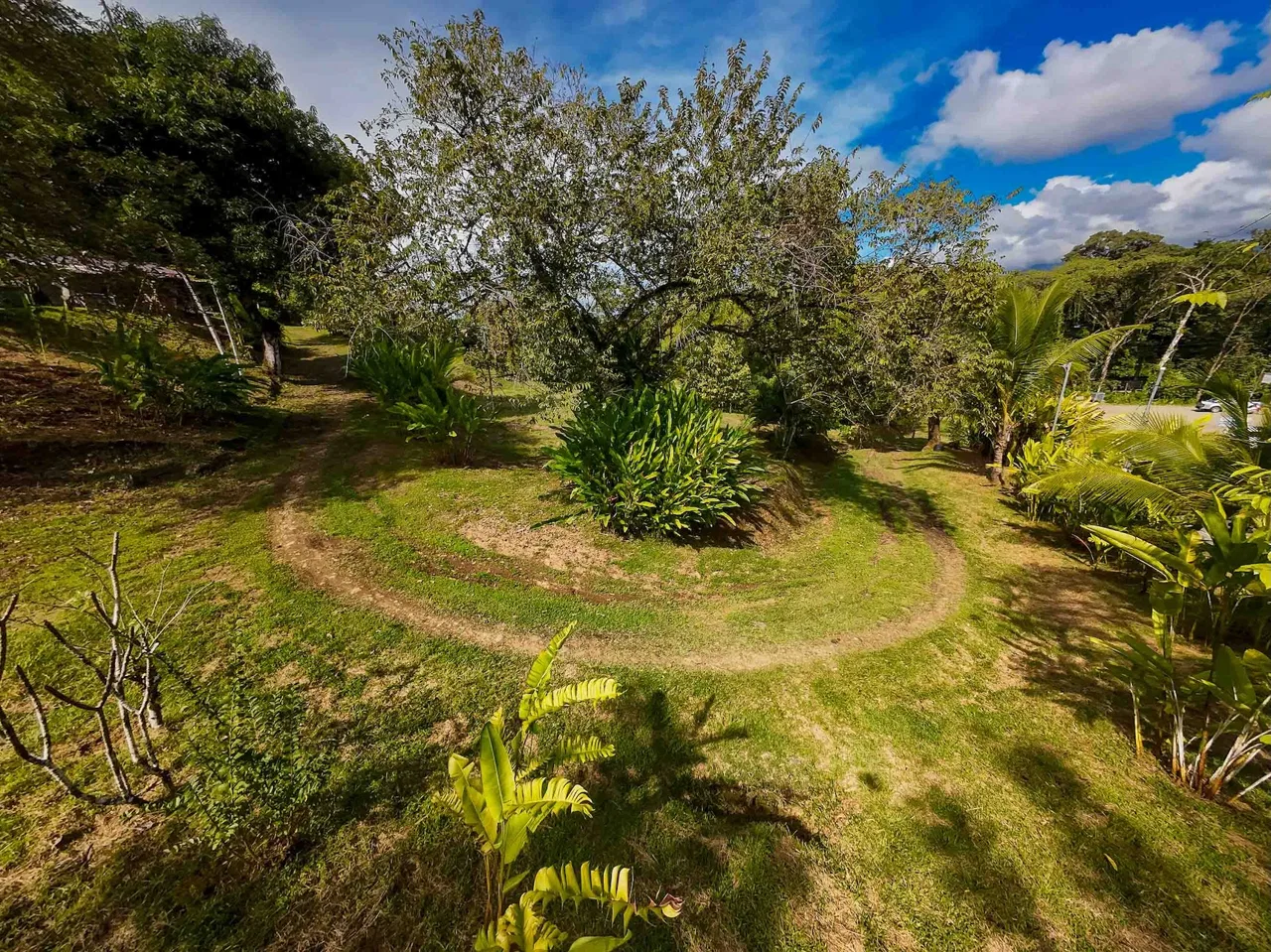 DEVELOPMENT LAND NEAR TO THE CITY AND THE BEACH, IN BAHIA BALLENA – 29 ACRES, photo 11