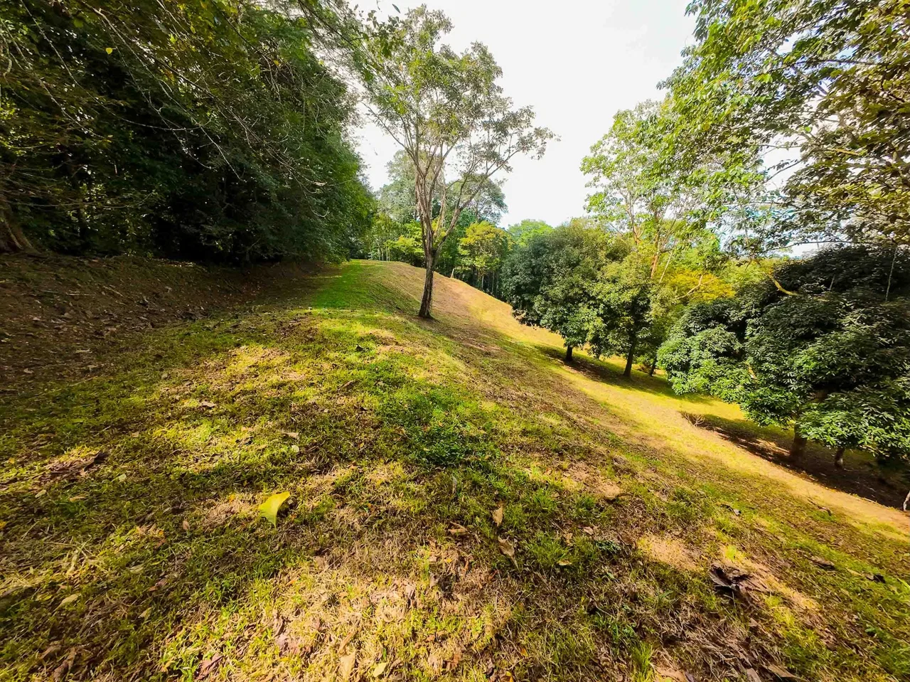 DEVELOPMENT LAND NEAR TO THE CITY AND THE BEACH, IN BAHIA BALLENA – 29 ACRES, photo 15