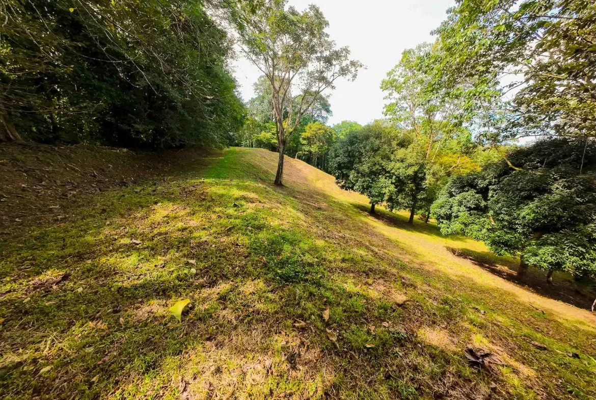 DEVELOPMENT LAND NEAR TO THE CITY AND THE BEACH, IN BAHIA BALLENA – 29 ACRES, photo 16