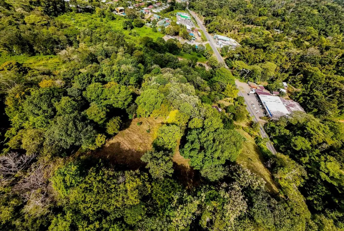 DEVELOPMENT LAND NEAR TO THE CITY AND THE BEACH, IN BAHIA BALLENA – 29 ACRES, photo 4