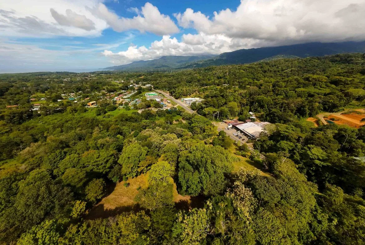 DEVELOPMENT LAND NEAR TO THE CITY AND THE BEACH, IN BAHIA BALLENA – 29 ACRES, photo 8