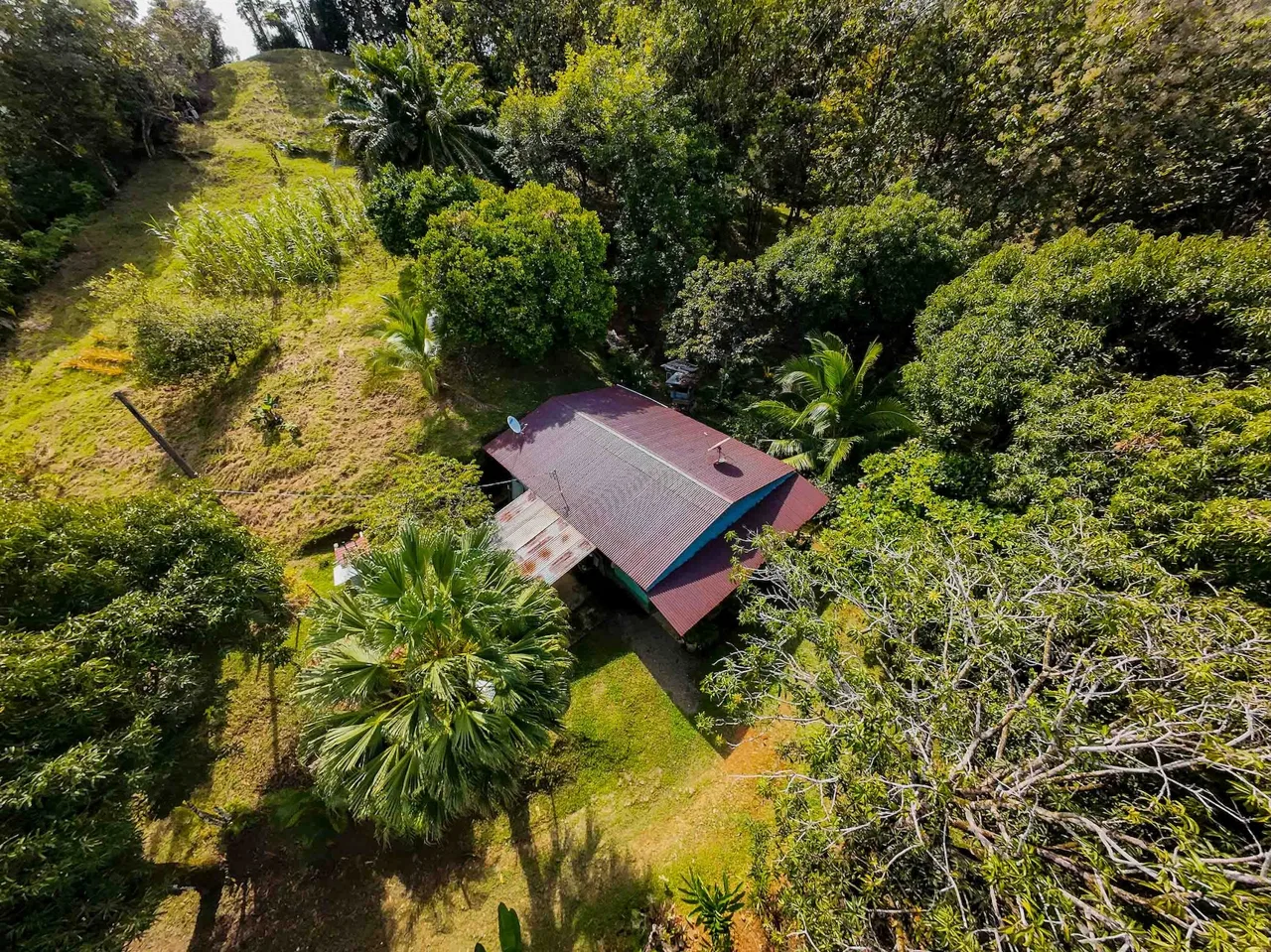 DEVELOPMENT LAND NEAR TO THE CITY AND THE BEACH, IN BAHIA BALLENA – 29 ACRES, photo 9