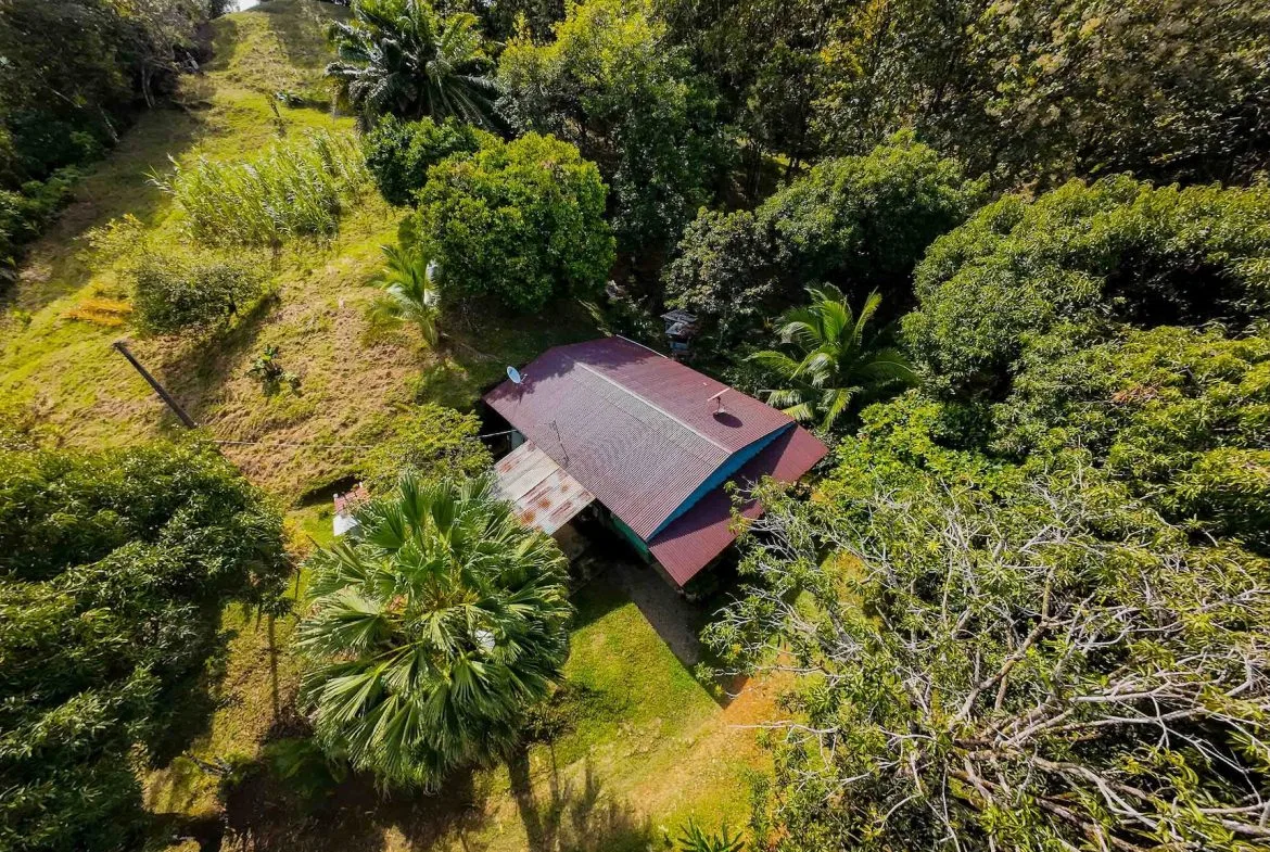 DEVELOPMENT LAND NEAR TO THE CITY AND THE BEACH, IN BAHIA BALLENA – 29 ACRES, photo 10