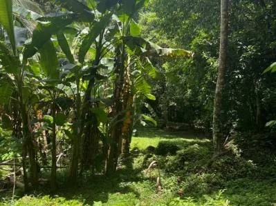Tu pedazo de paraÍso cerca de Cahuita & el Parque Nacional