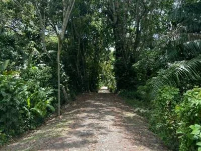 Tu pedazo de paraÍso cerca de Cahuita & el Parque Nacional, photo 3