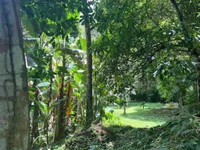 Tu pedazo de paraÍso cerca de Cahuita & el Parque Nacional, photo 5
