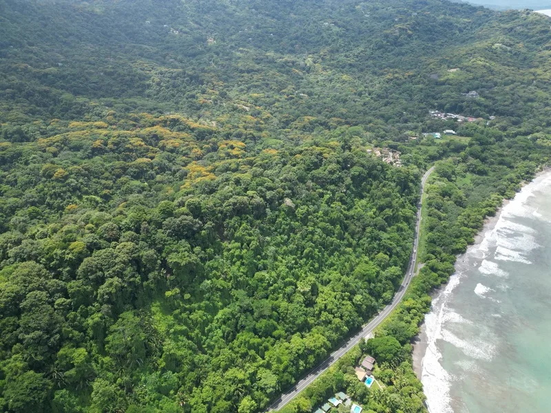 Land For Sale in Dominical, photo 12