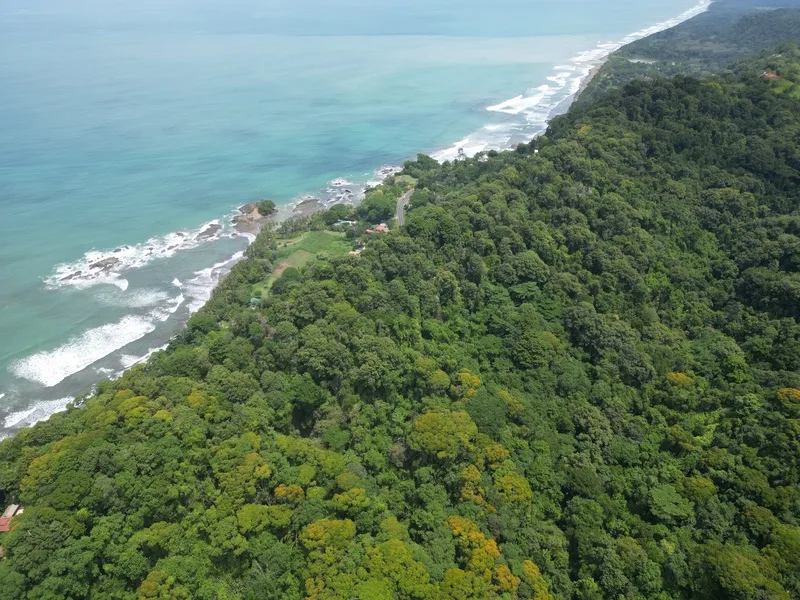 Land For Sale in Dominical, photo 15