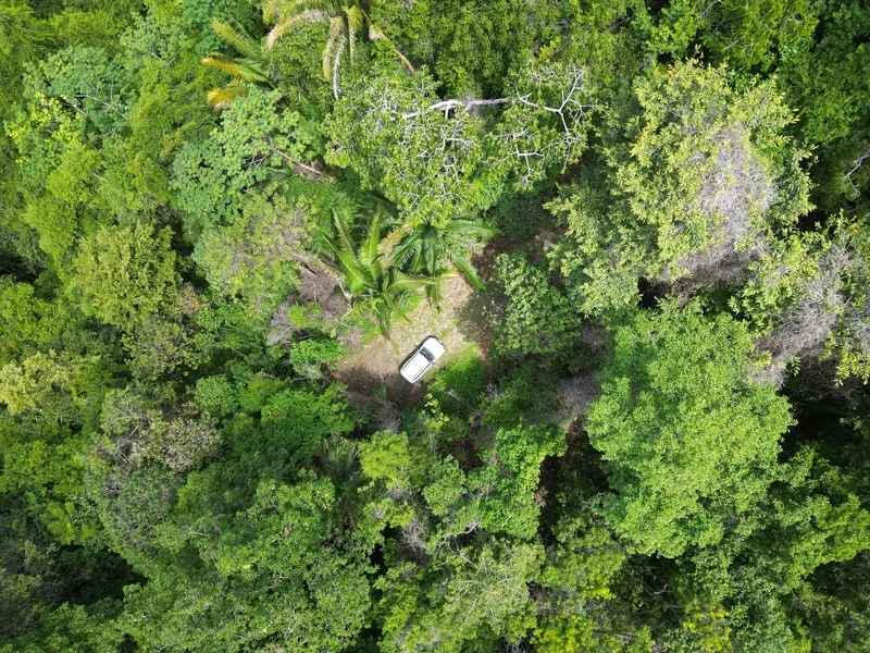 Land For Sale in Dominical, photo 6