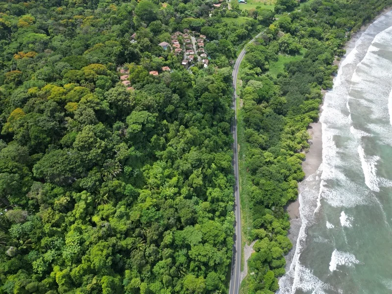 Land For Sale in Dominical, photo 8