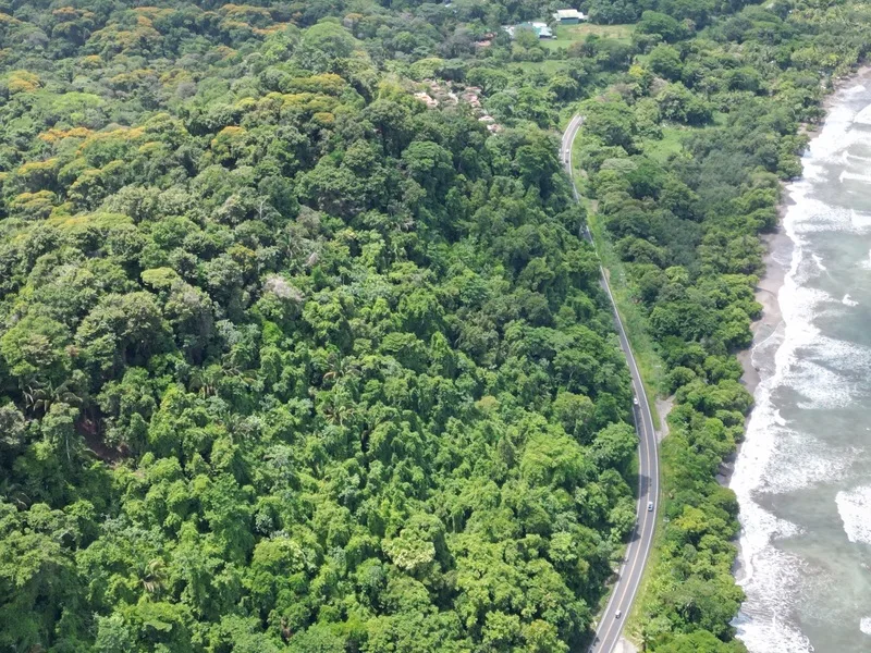 Land For Sale in Dominical, photo 10