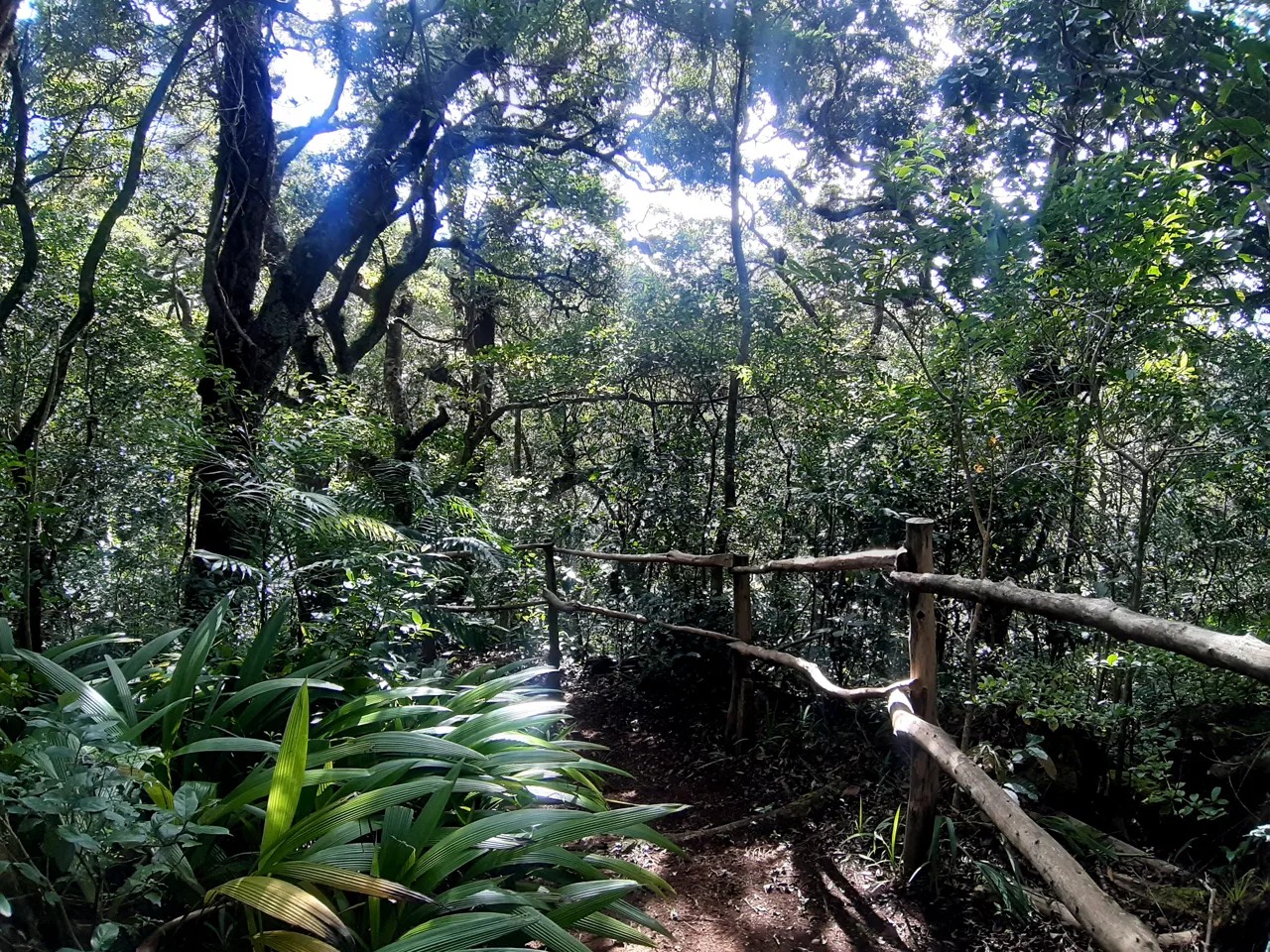 Se Vende hermosa Propiedad 24,500 m2