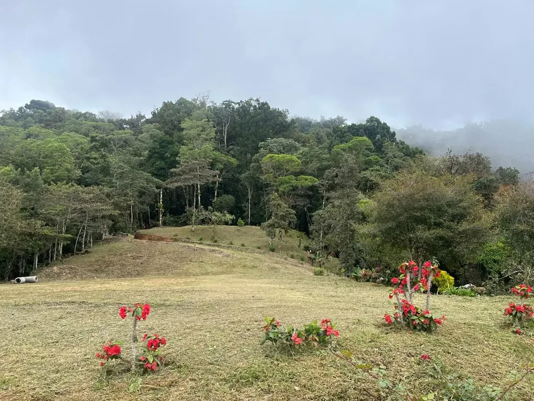Mountain Retreat Property in Tarrazú | 5,000 m² | Forest, Panoramic Views & Private Access