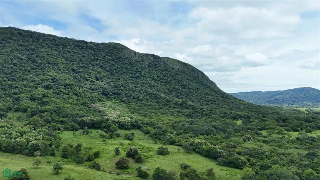 Nicoya Guanacaste