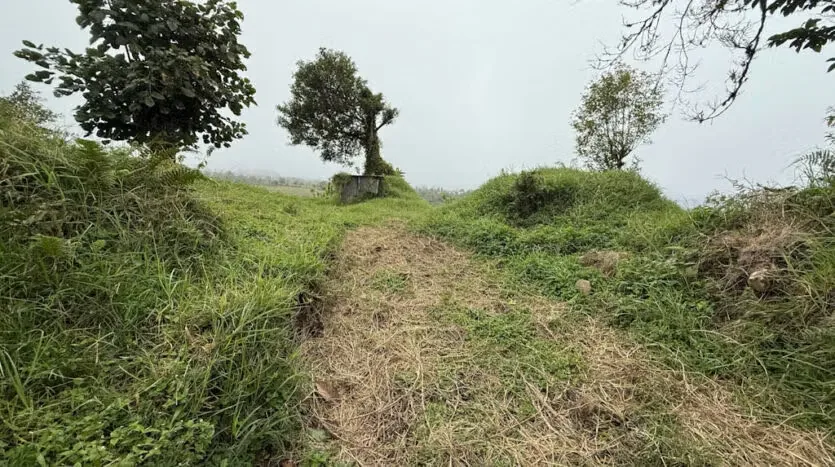 Lot for Sale with the Macho River Running Through the Property, photo 2