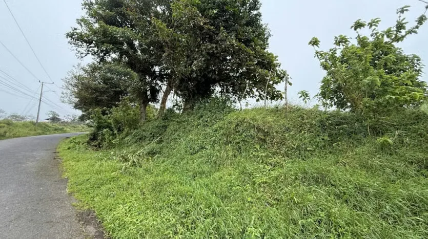 Lot for Sale with the Macho River Running Through the Property, photo 11